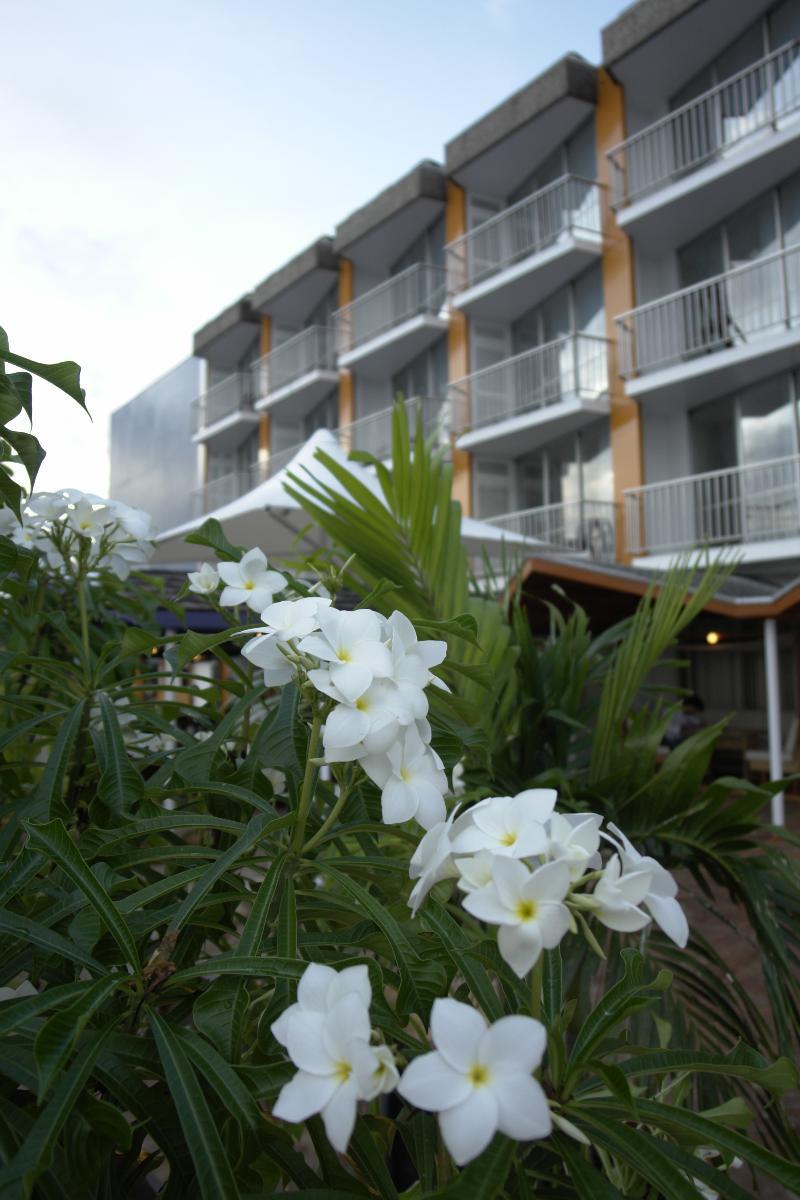Radisson Hotel ปารามารีโบ ภายนอก รูปภาพ